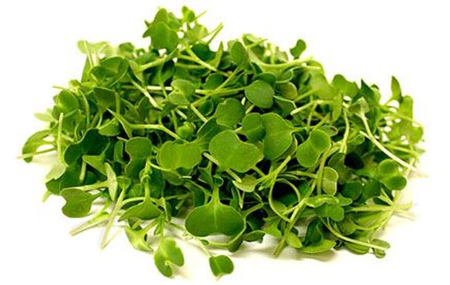 Micro Herb Rocket Punnet : PARISI Wholesale