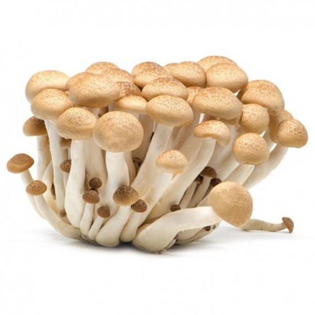 shimeji mushrooms