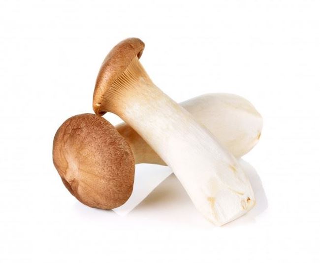 Mushroom King Brown Australian 500g Punnet : Parisi Wholesale